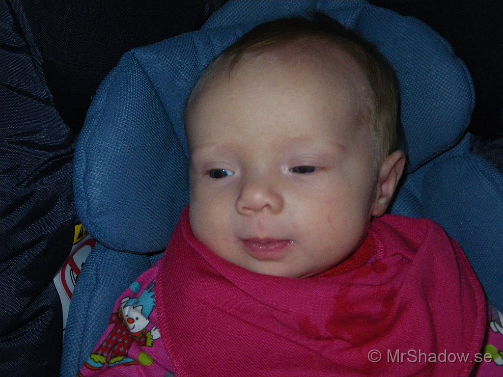 IMGP5024.JPG