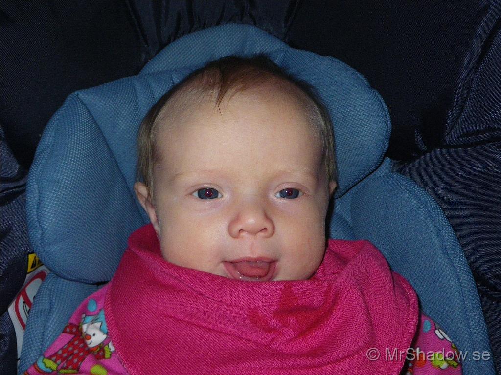 IMGP5026.JPG
