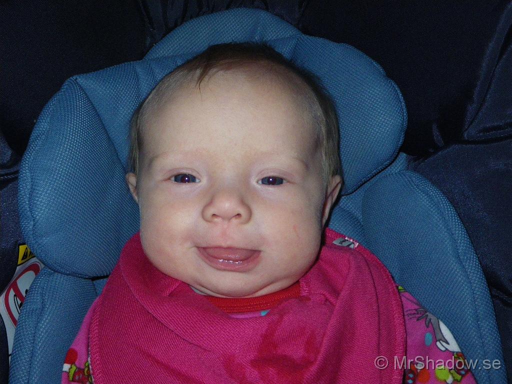 IMGP5027.JPG