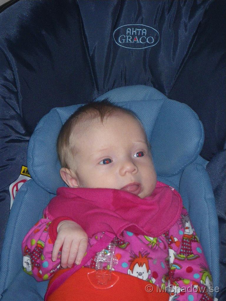 IMGP5028.jpg