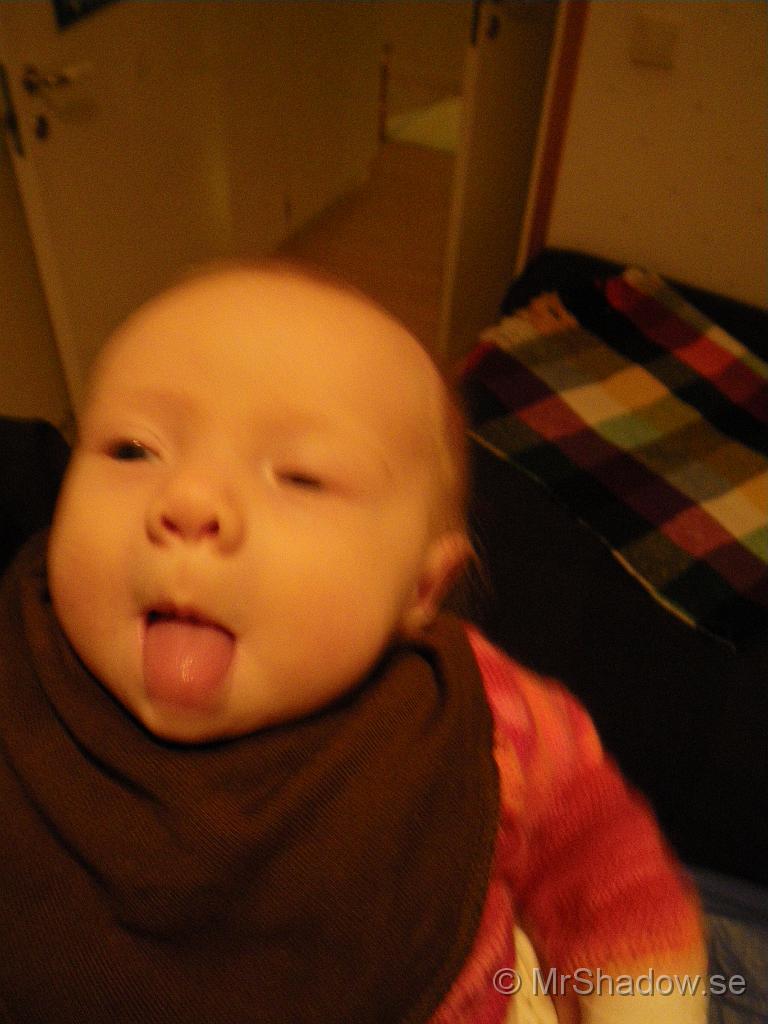 IMGP5038.JPG