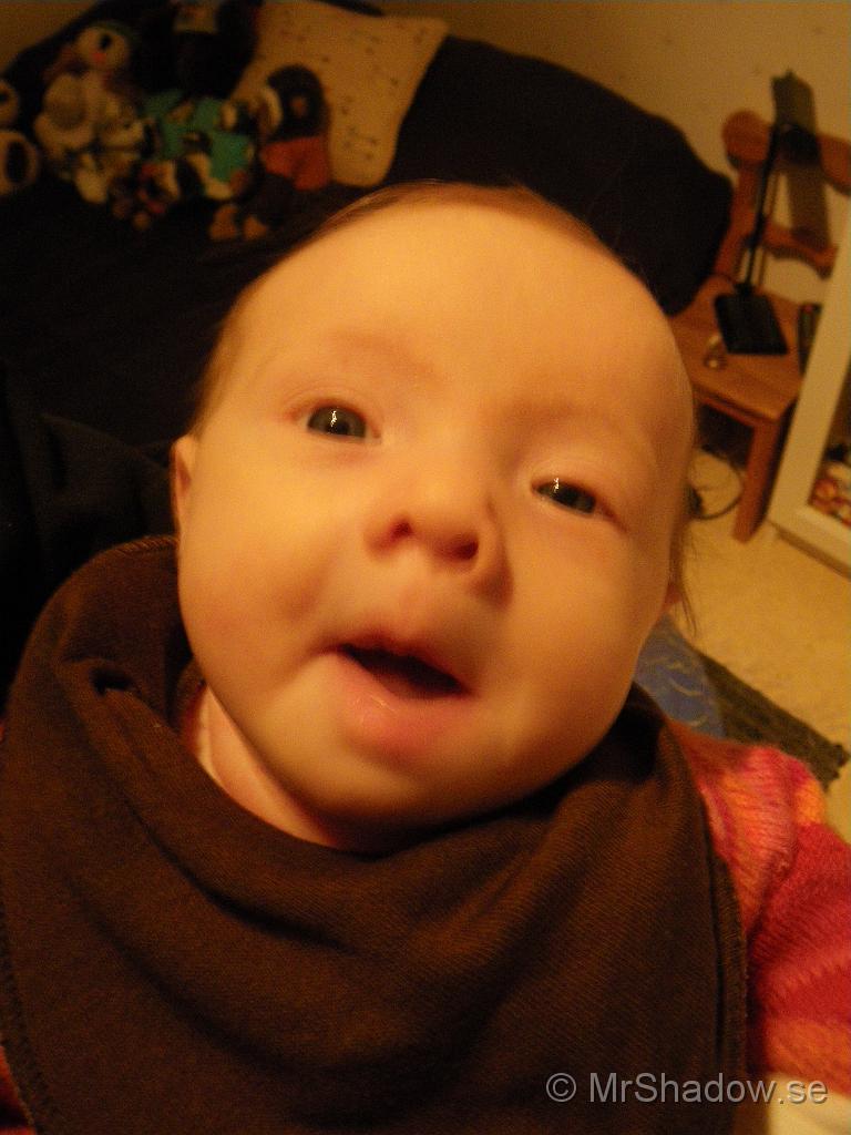 IMGP5043.jpg