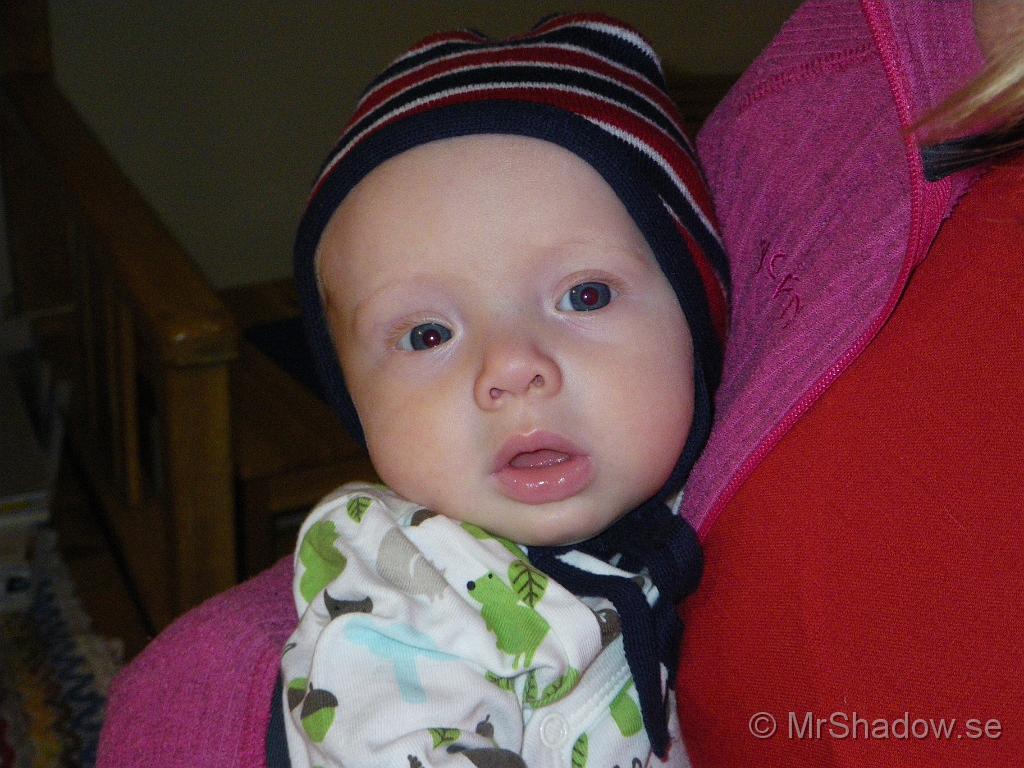 IMGP5334.JPG