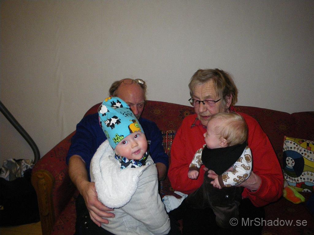 IMGP5390.JPG