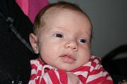 IMG_0958