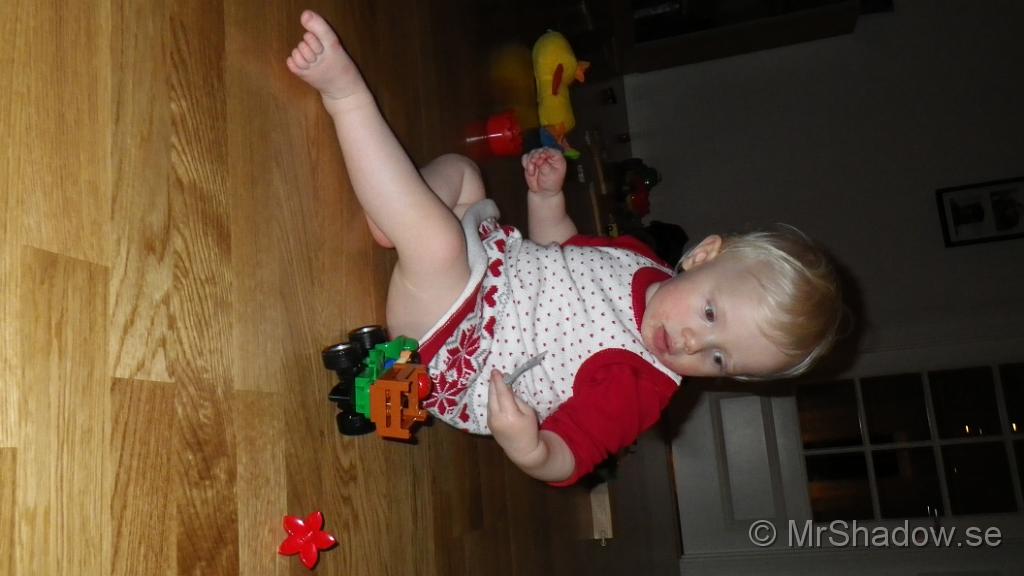 IMGP0082.JPG