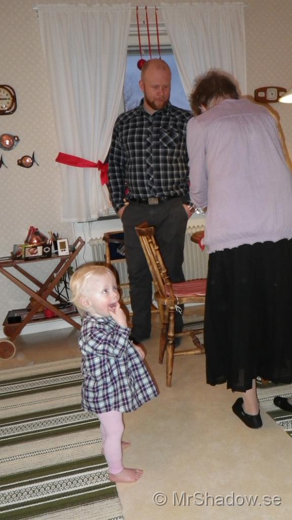 IMGP0146.JPG