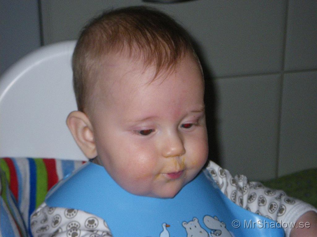 IMGP5499.JPG