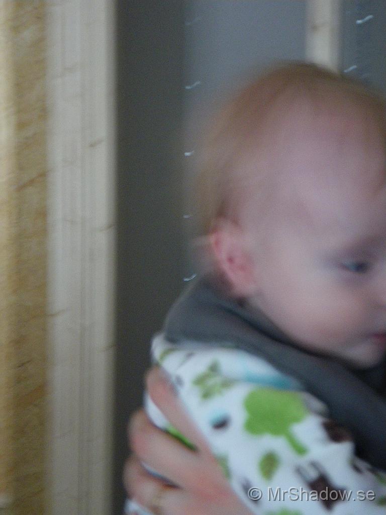 IMGP5587.jpg