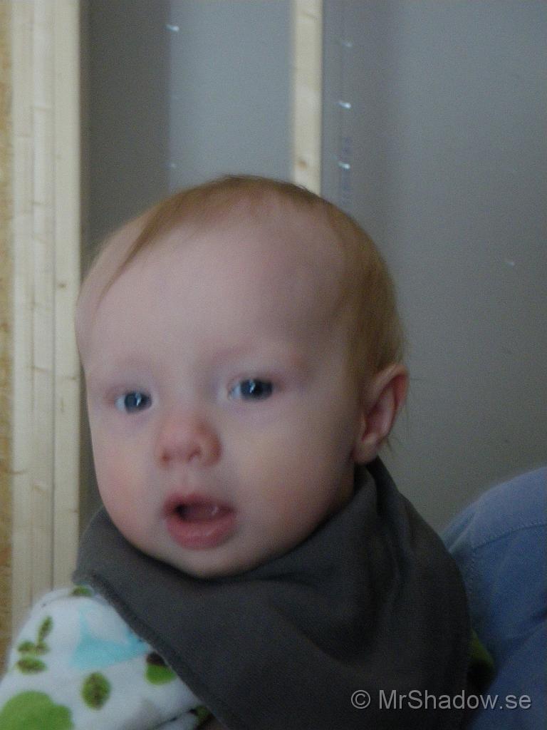 IMGP5591.jpg