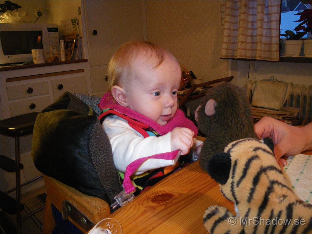 IMGP5599.JPG