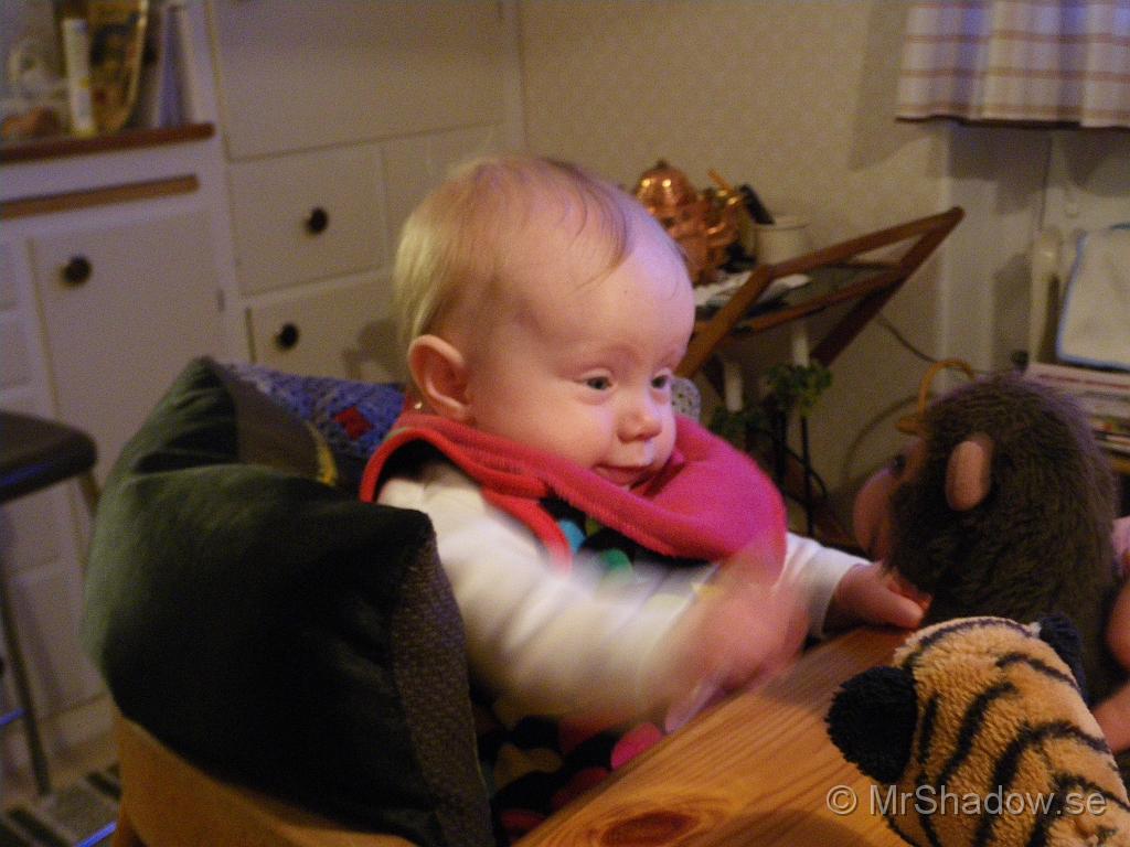 IMGP5601.JPG