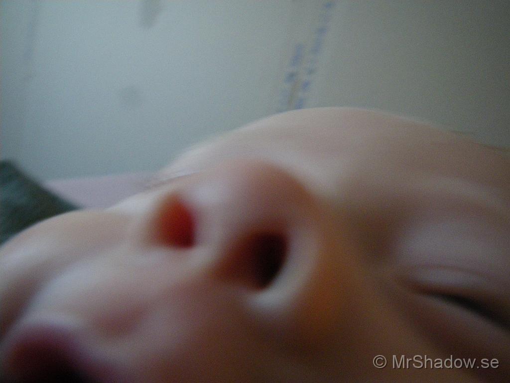IMGP5760.JPG