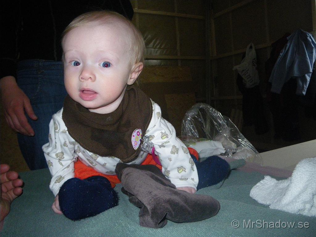 IMGP5782.JPG
