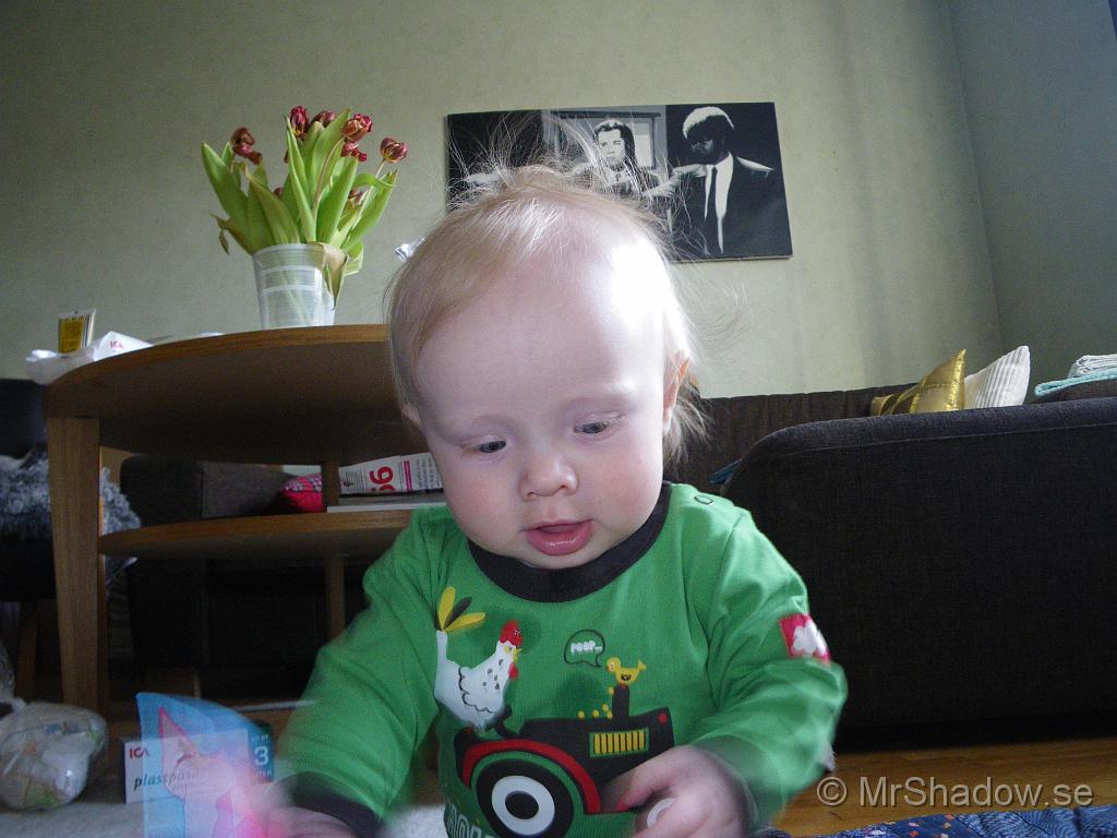 IMGP5924.JPG