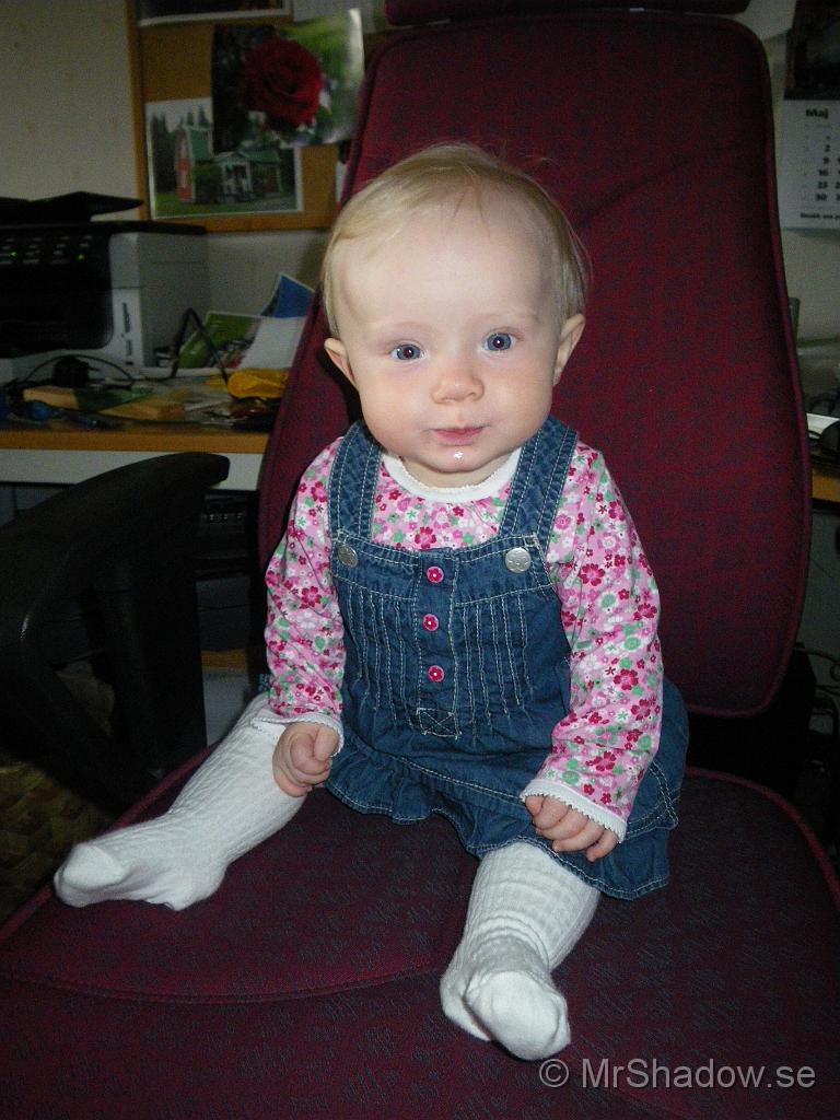 IMGP6082.JPG