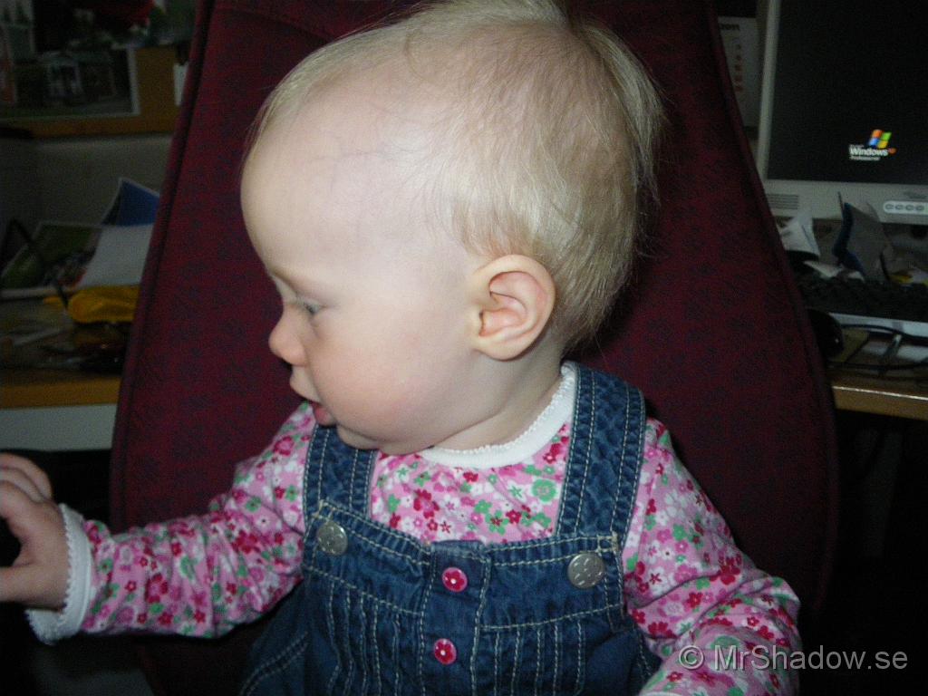 IMGP6087.JPG