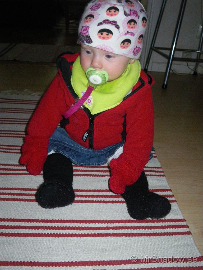 IMGP6090.JPG