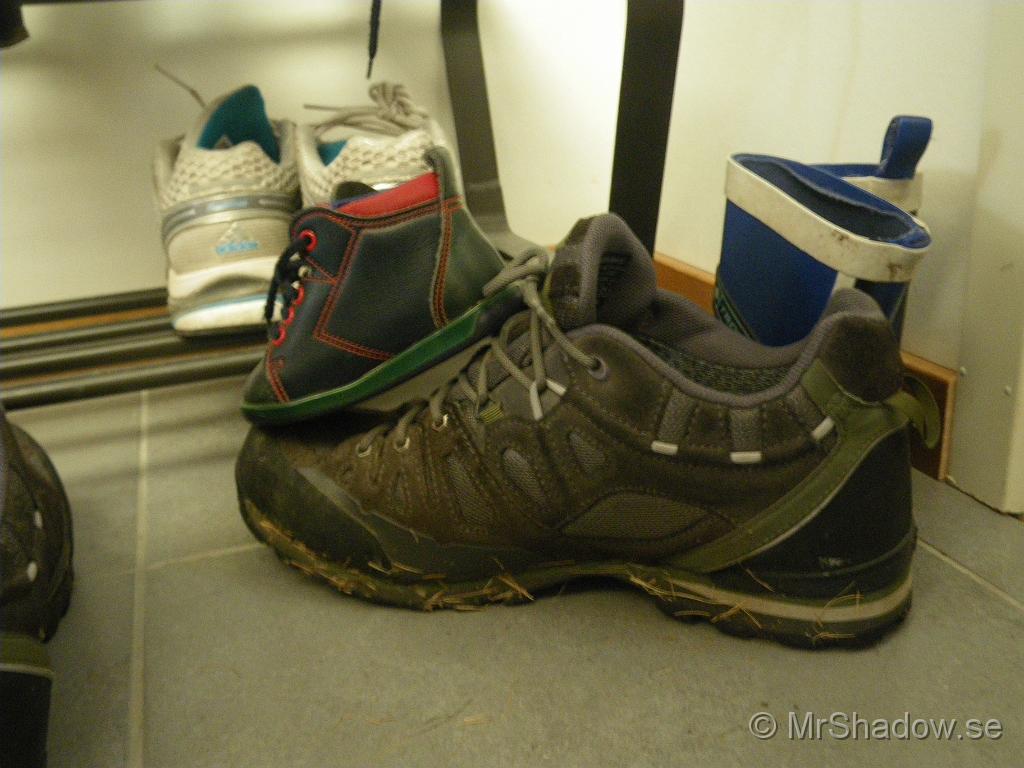 IMGP6108.JPG
