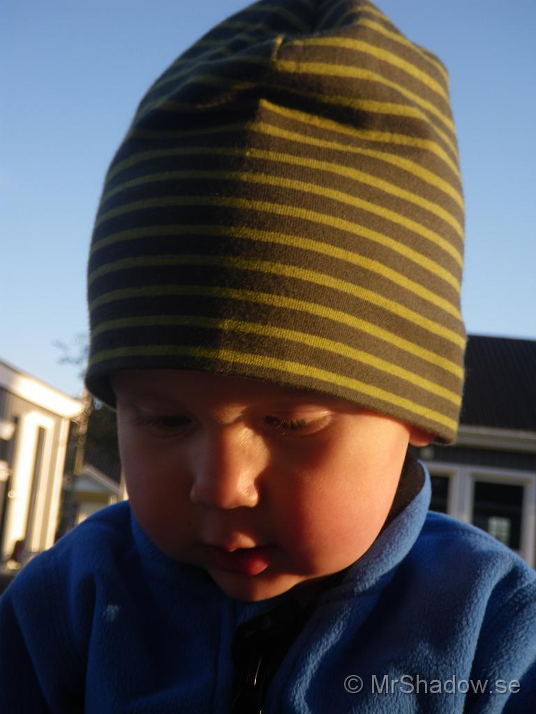 IMGP7431.jpg