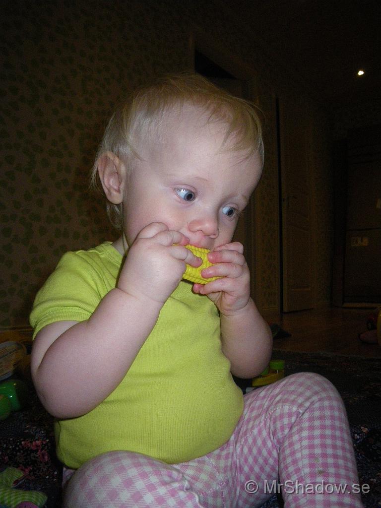 IMGP7665.JPG