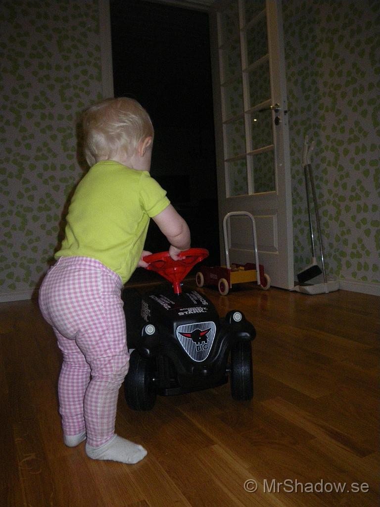 IMGP7668.JPG