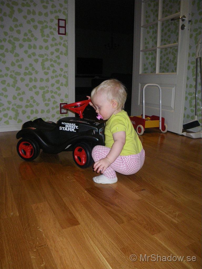 IMGP7669.JPG