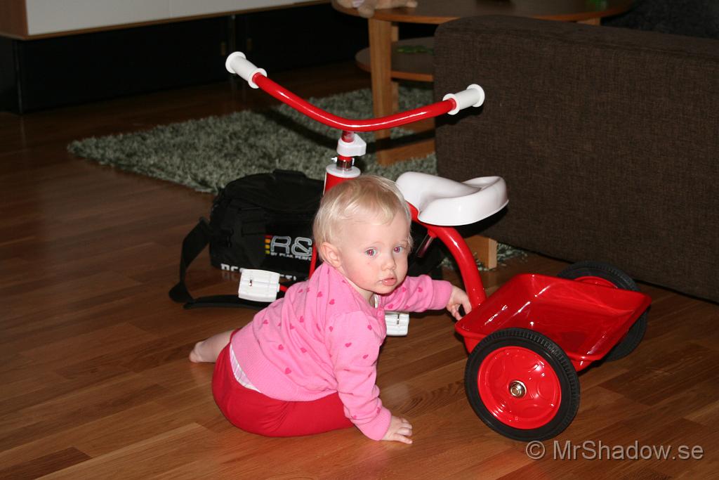 IMG_5235.JPG