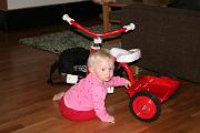 IMG_5235