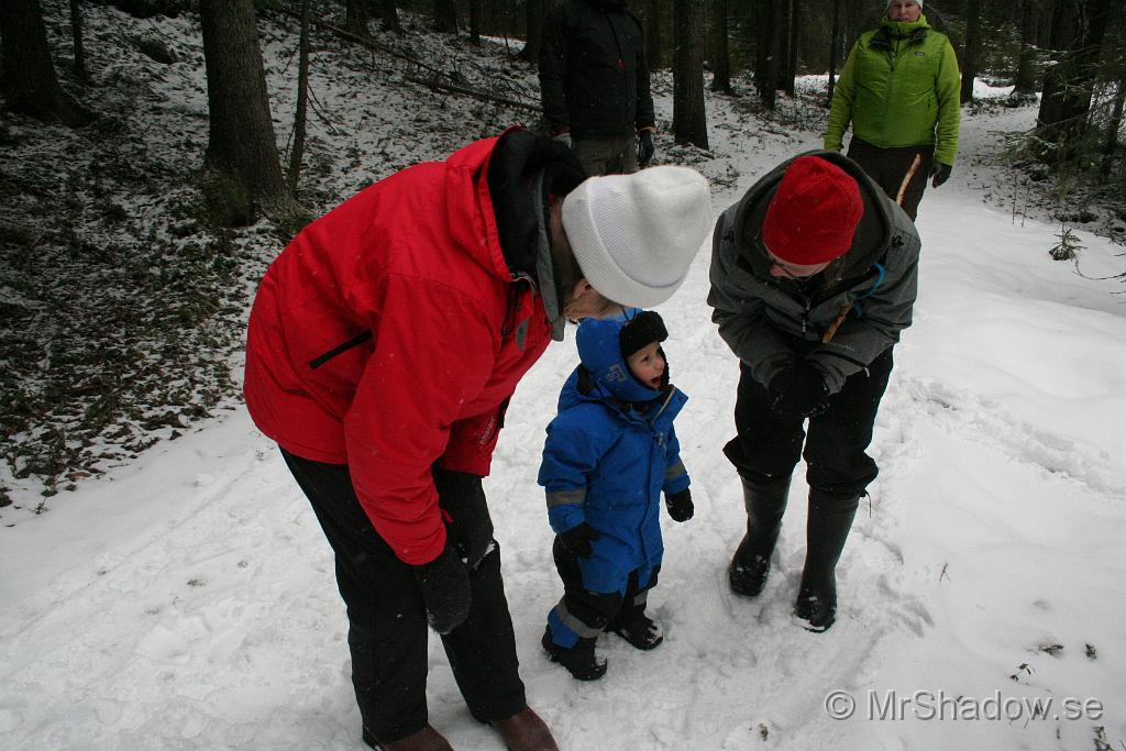 IMG_5541.JPG