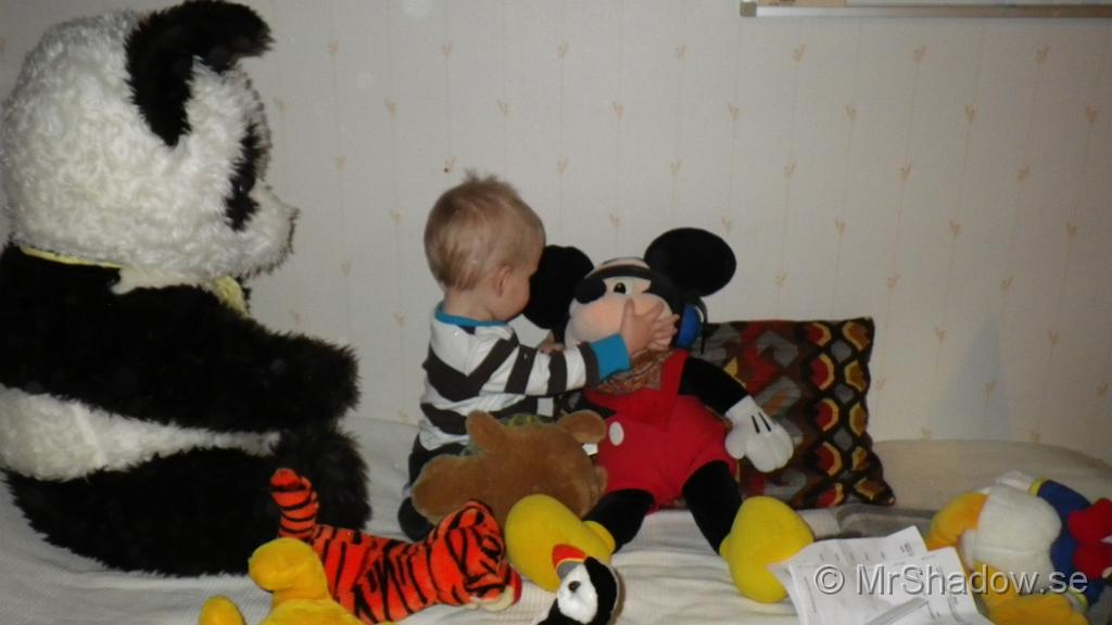 IMGP0254.JPG