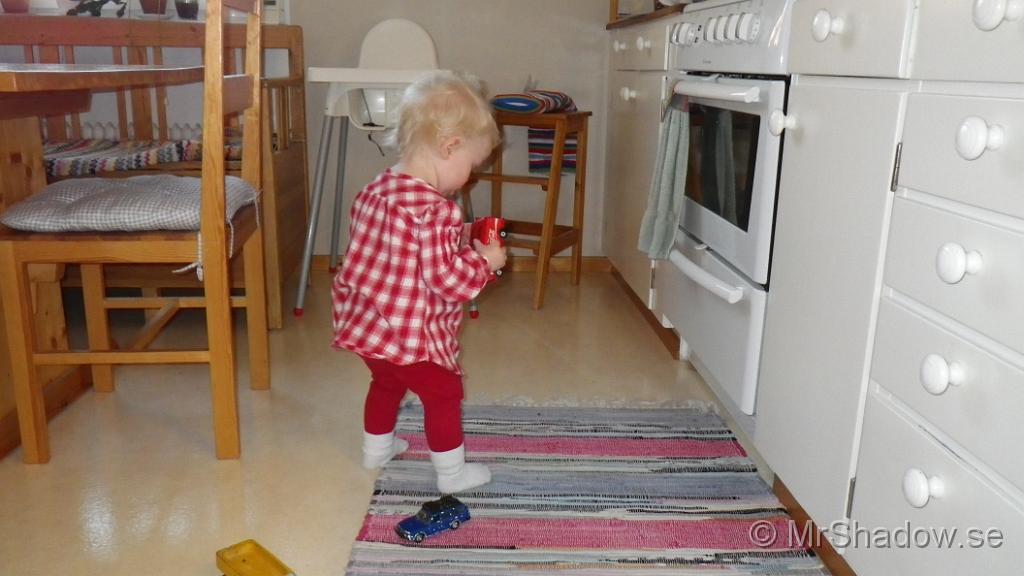 IMGP0279.JPG