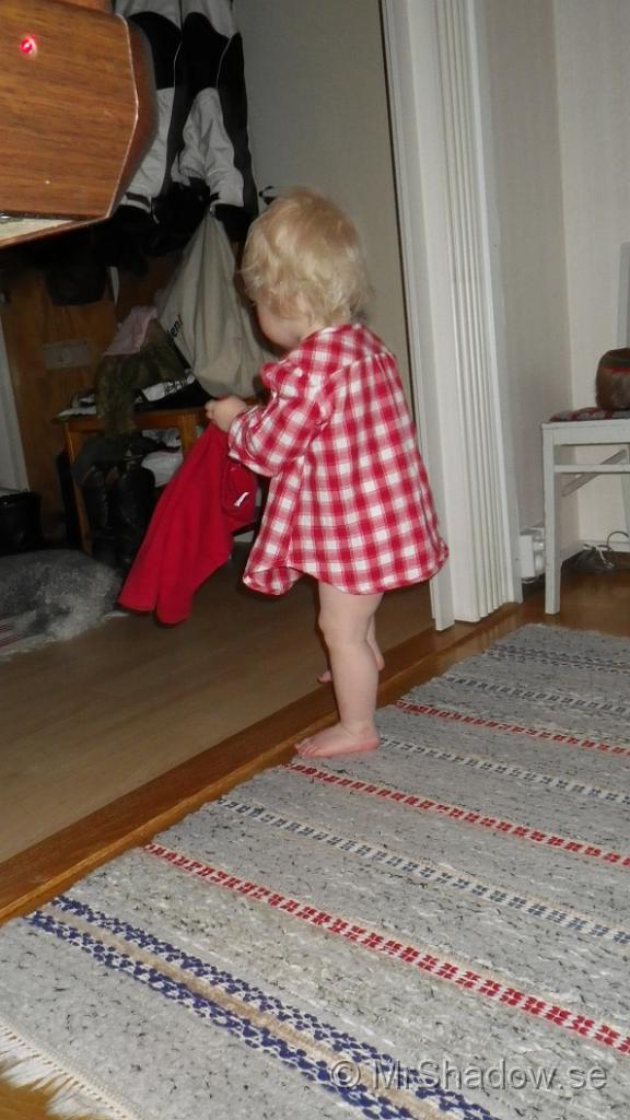 IMGP0292.jpg