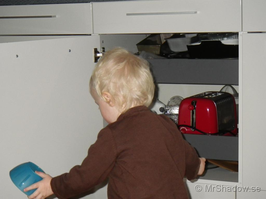 IMGP0374.JPG
