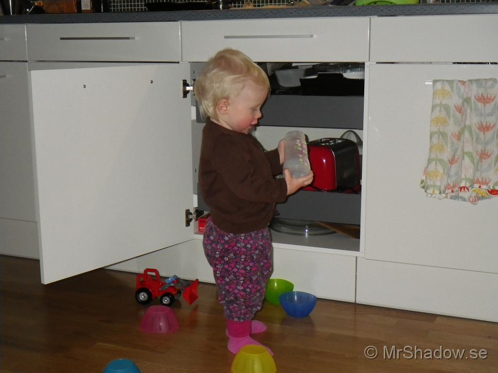 IMGP0375.JPG