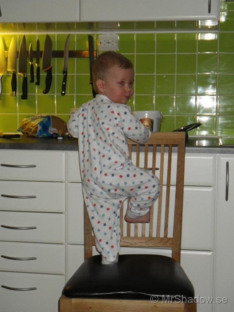 IMGP0378.JPG