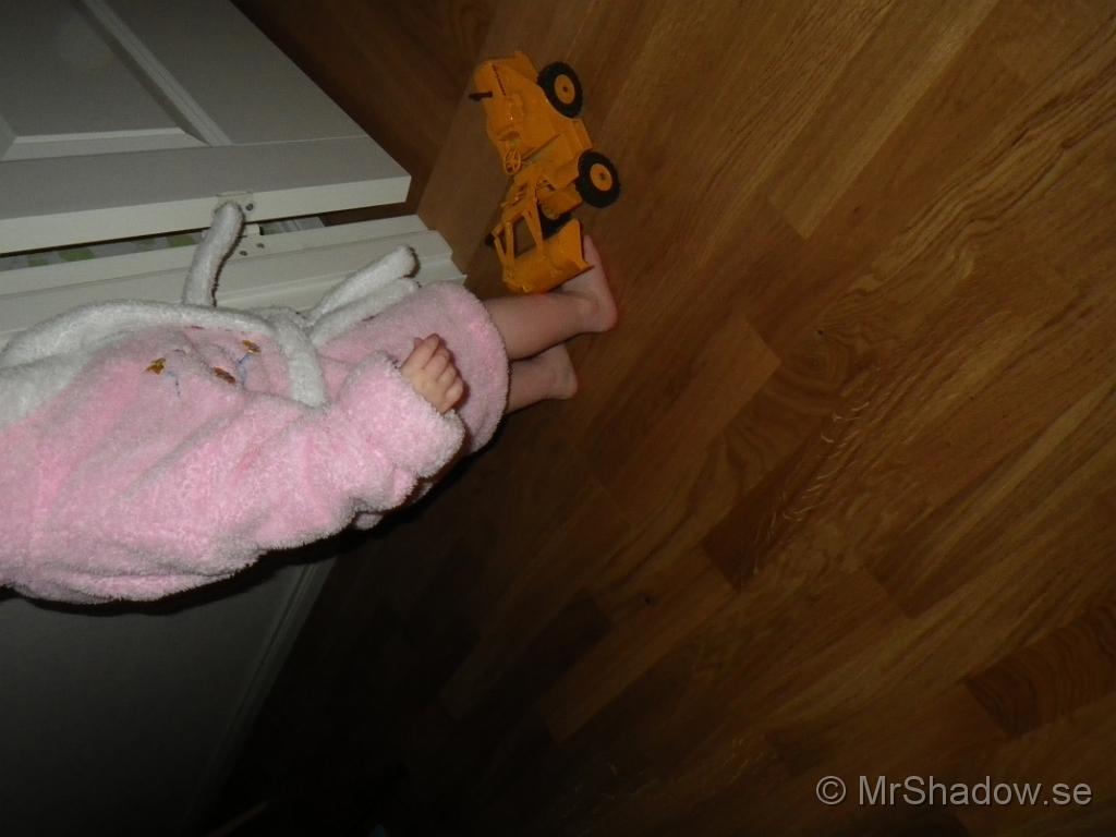 IMGP0457.JPG