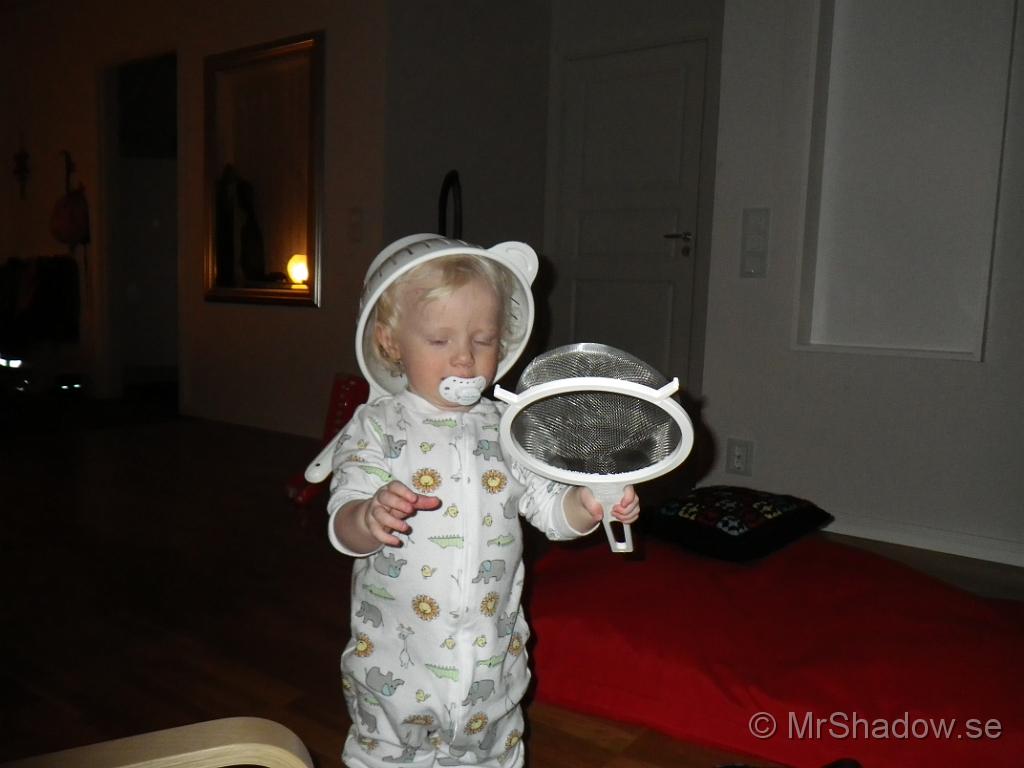 IMGP0463.JPG