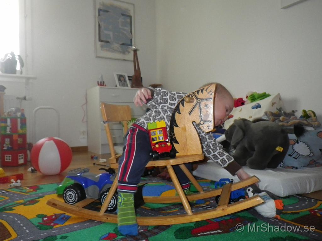 IMGP0475.JPG