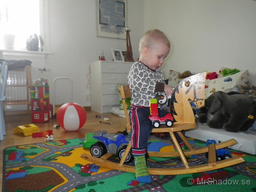 IMGP0476.JPG