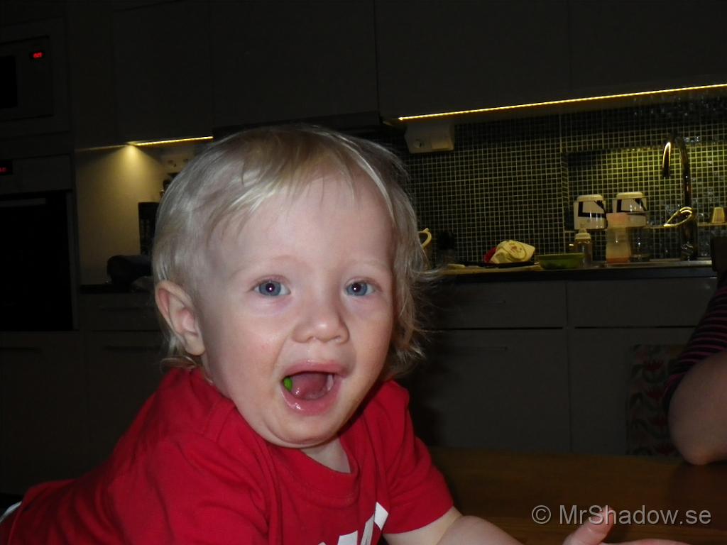 IMGP0495.JPG
