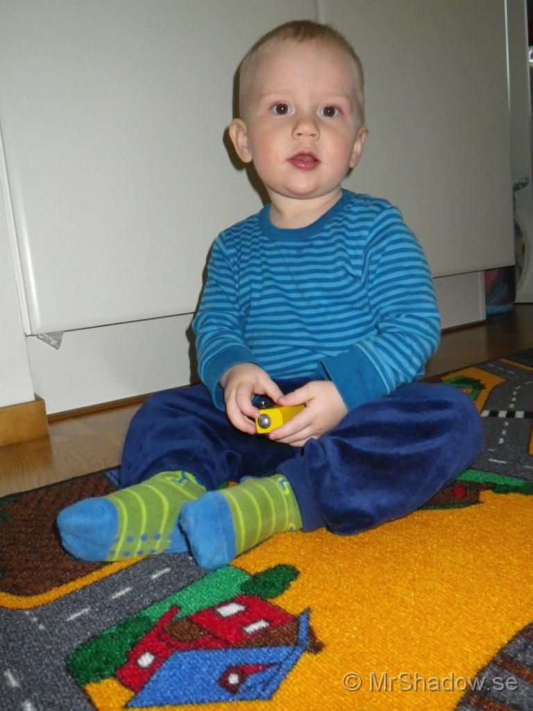 IMGP0529.JPG