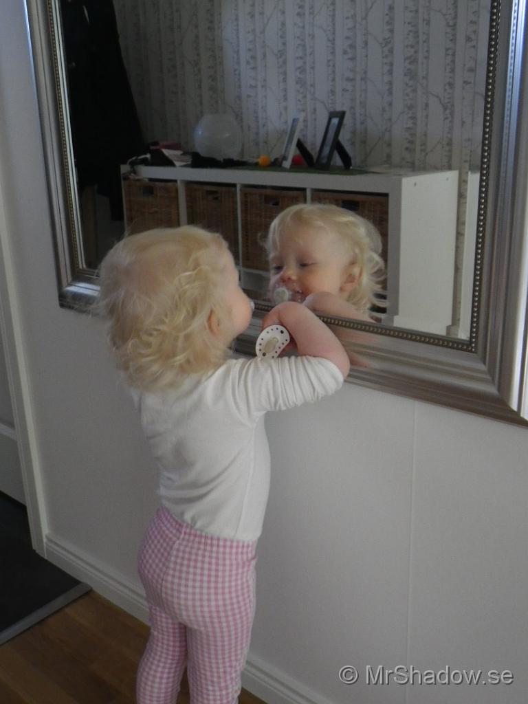 IMGP0723.jpg