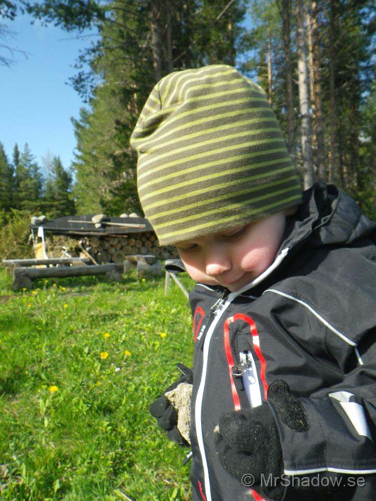 IMGP0798.jpg