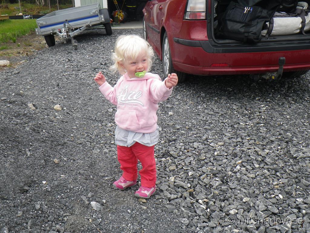 IMGP0906.JPG