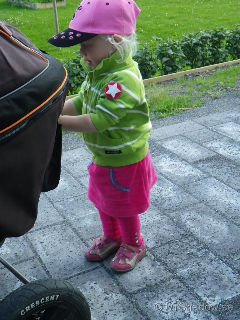 IMGP1330.jpg