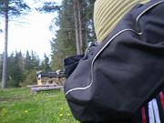 IMGP0800