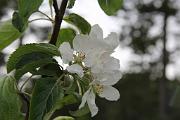 IMG_0880