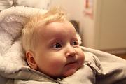 IMG_7409