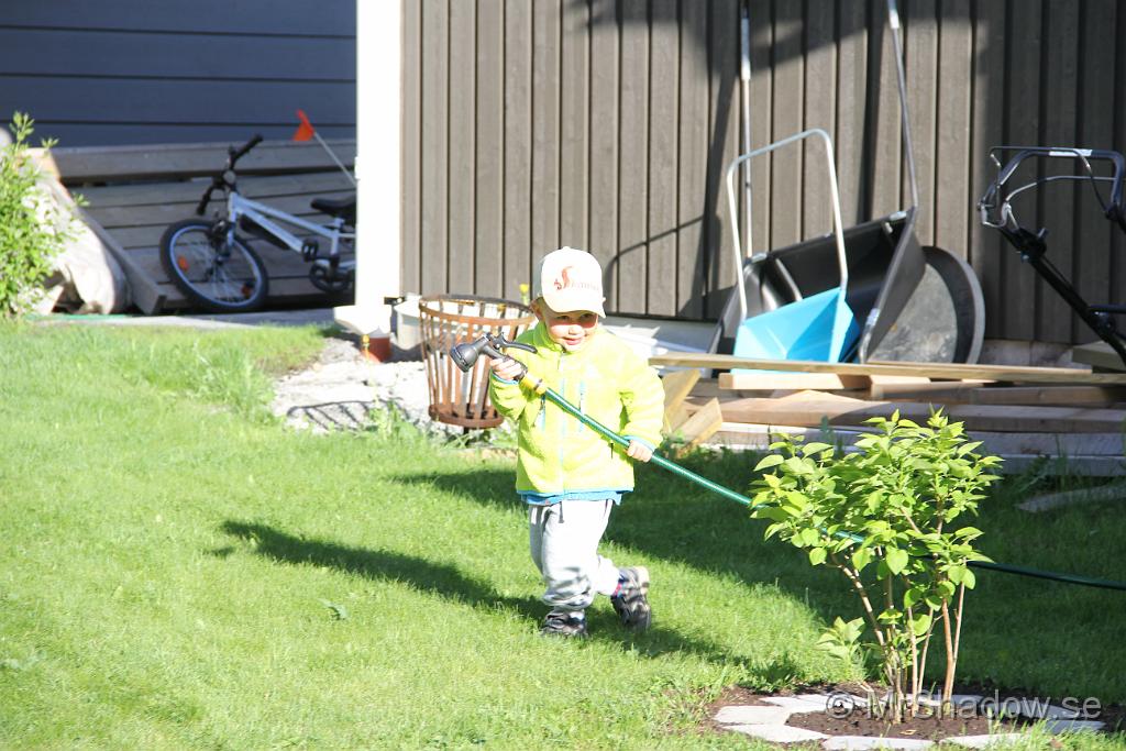 IMG_4579.JPG